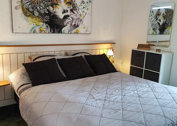 Résidence Odalys Saint Loup Climatisé *